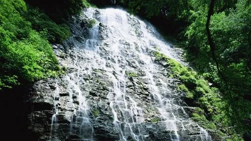 高精度高端